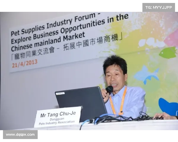 板球装备需求激增推动比赛组织行业规模迅速扩展